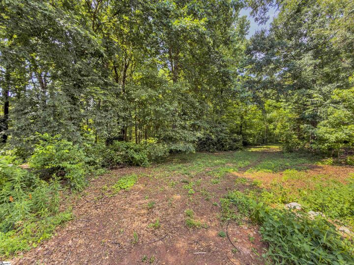 Property Photo: 6 Peters Creek Court SC 29681
