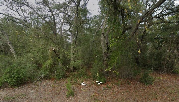 Property Photo: Fisher Way Dr Lot 16 FL 32179