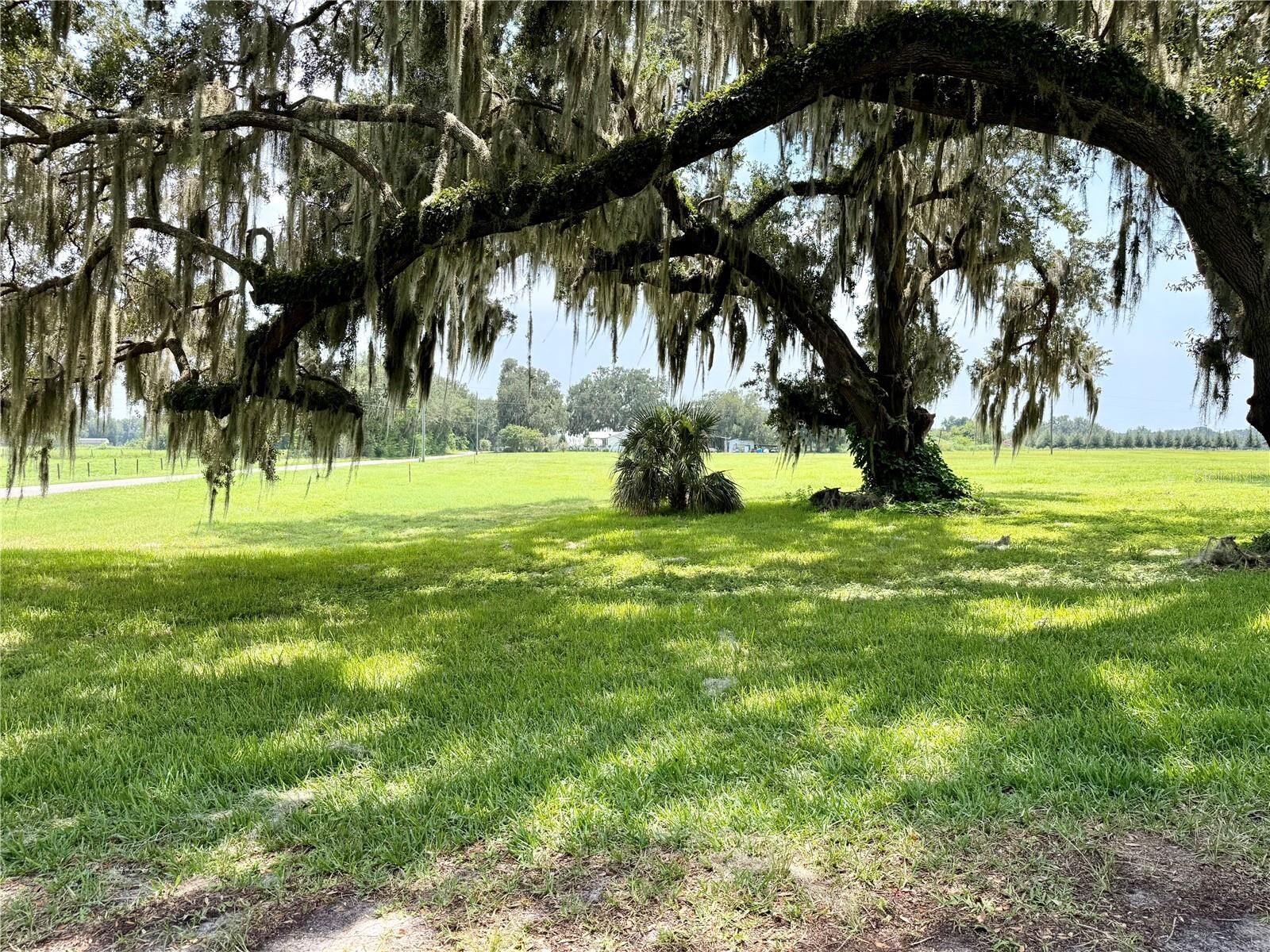 Property Photo:  Parcel 4 Cr 714  FL 33514 