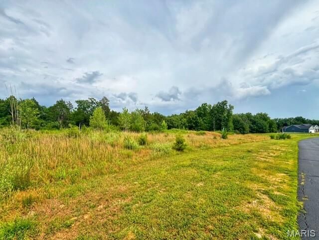 Property Photo: 712 Red Clover Drive MO 63016