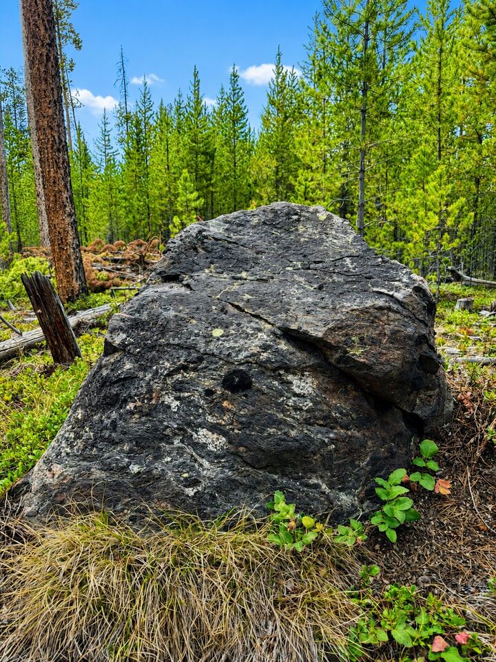 Property Photo:  Lot 8 Tbd Mitchell Lane  MT 59711 