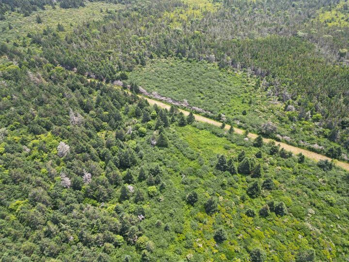 Property Photo:  Lots, Quaco Road  NS B5A 5X5 