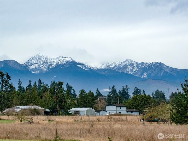 Property Photo: 196 Marsh Hawk Lane WA 98382