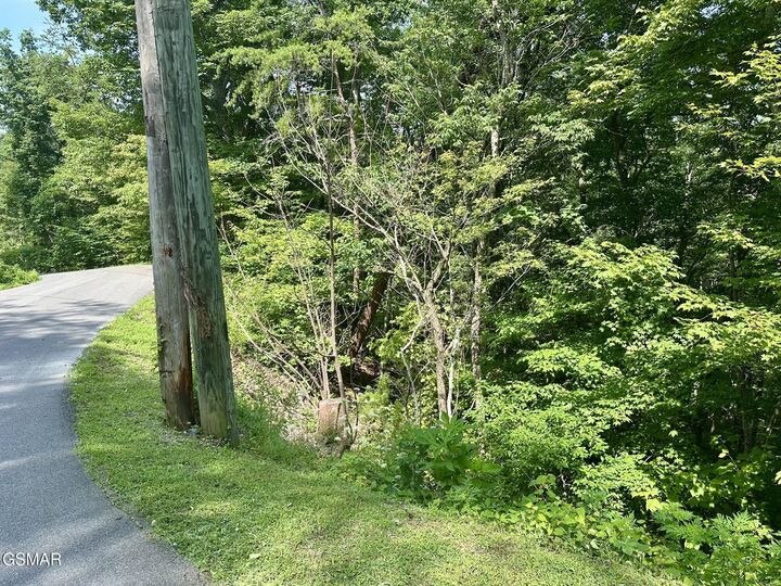 Property Photo: 0 Dogwood Drive TN 37876