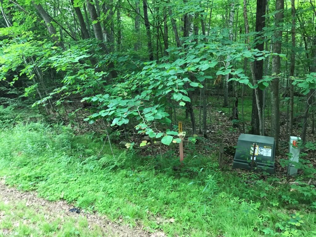 Property Photo:  6.47 Acres Thumper Drive  WI 54471 