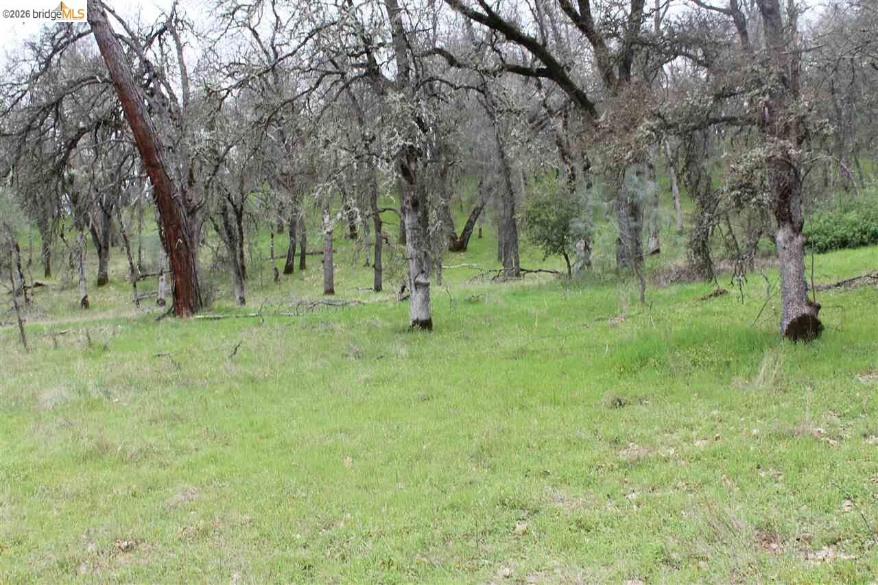 Property Photo:  Lot52a Kebra Lane  CA 95370 