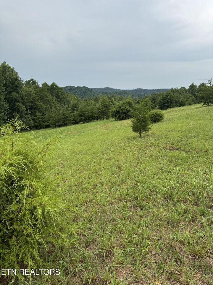 Property Photo:  Melea Lane  TN 37763 
