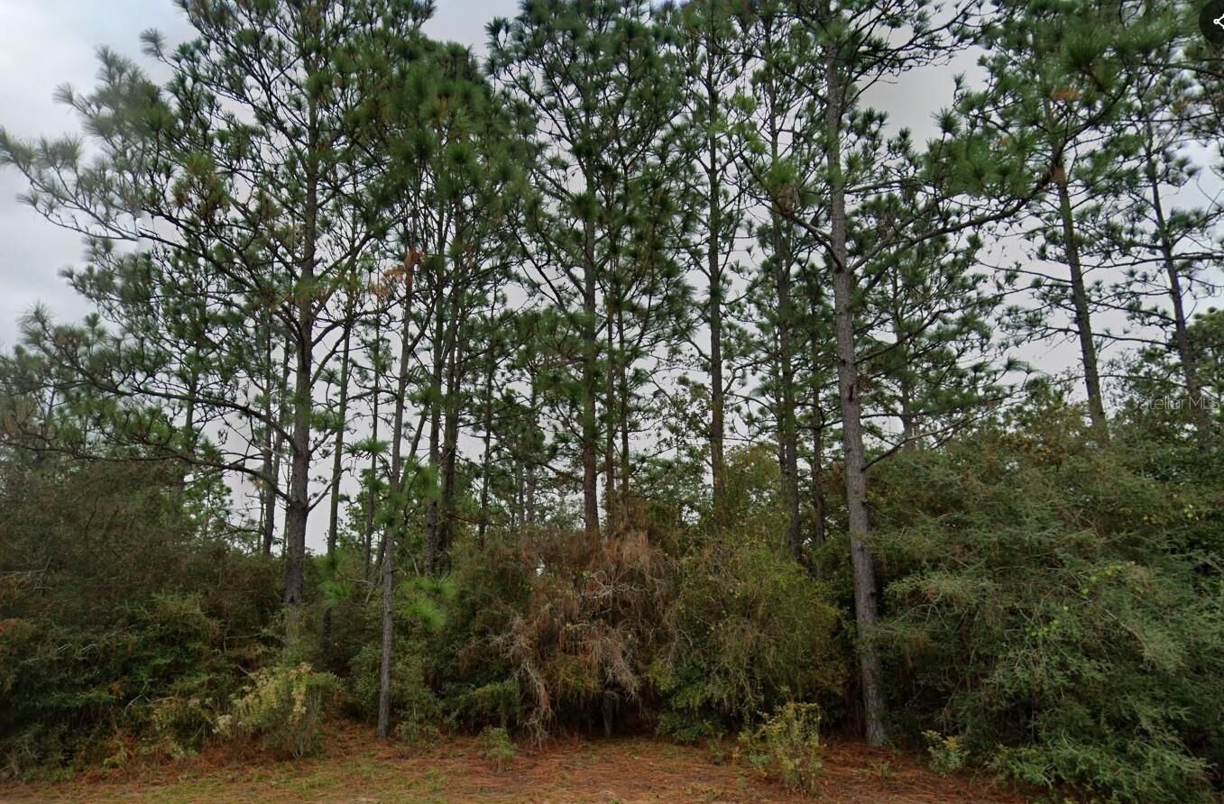 Property Photo: Deltona Boulevard FL 32428