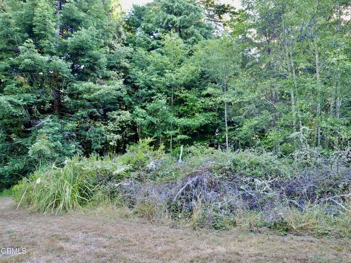 Property Photo:  19130 Dorffi Road  CA 95437 