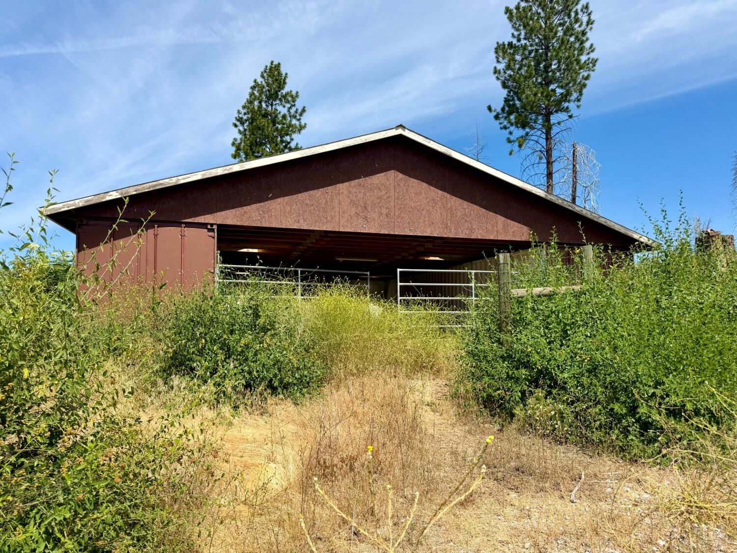 Property Photo:  4621 Sciaroni Road  CA 95636 
