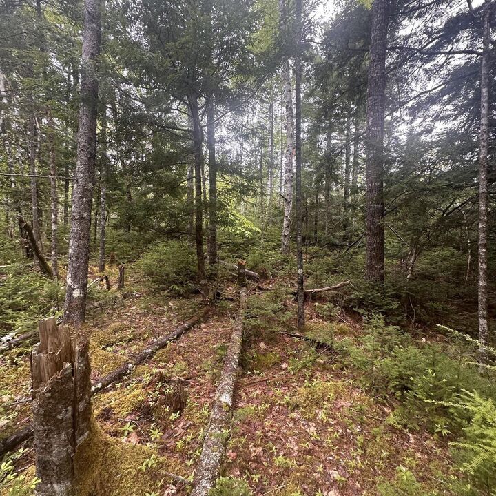 Property Photo:  Lot 22 Moose Pit Road  NS B0T 1B0 