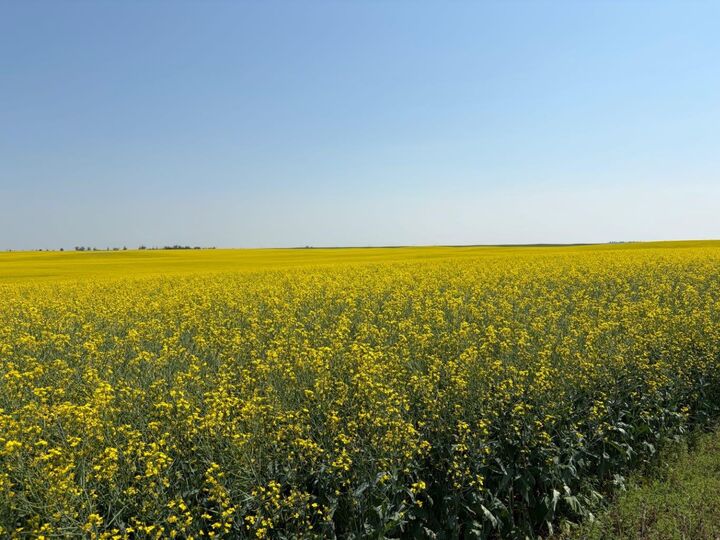 Property Photo: 232 Red Tail Ridge SE AB T1V 0J8