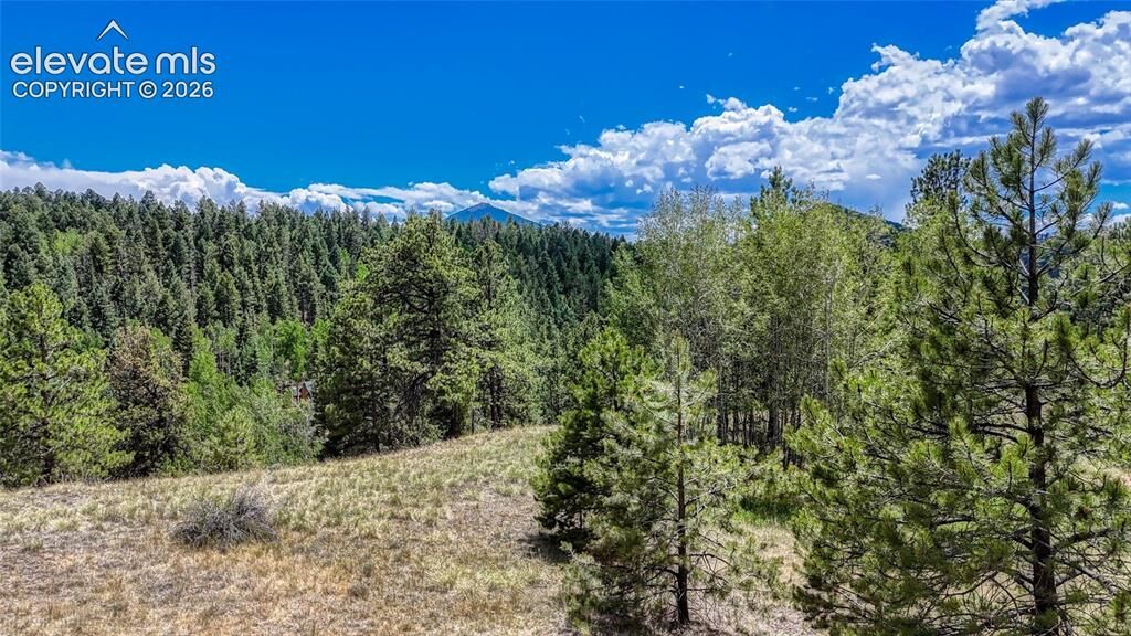 Property Photo:  218 Princess Road  CO 80813 