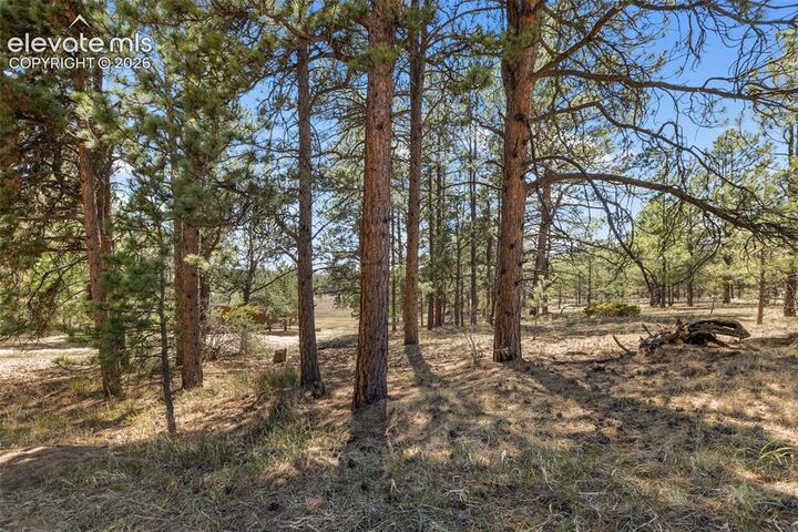 Property Photo:  349 Rhyolite Lane  CO 80816 