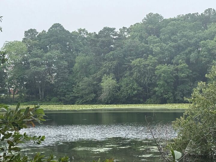 Property Photo:  Schumaker Woods Circle  MD 21801 