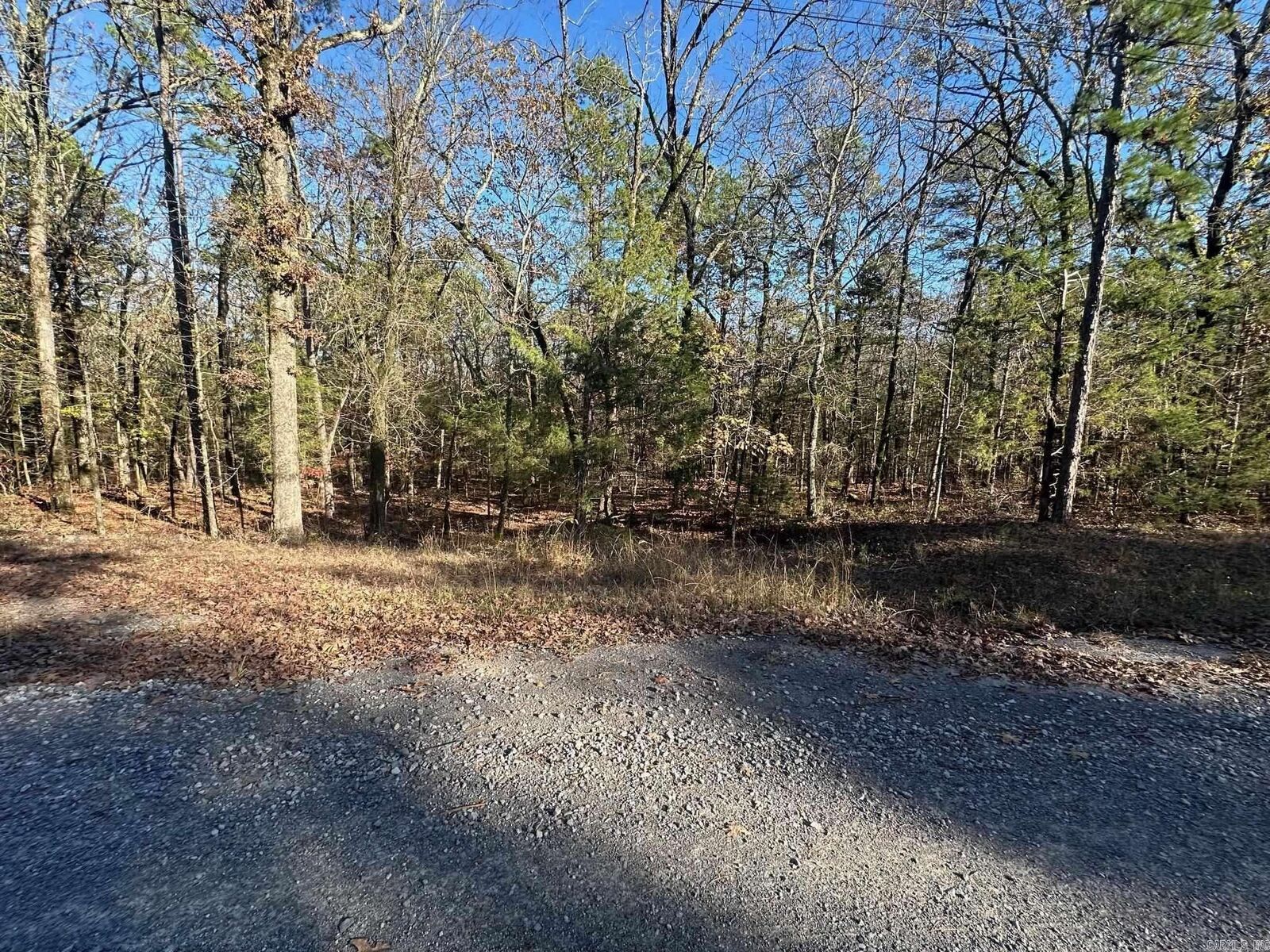 Property Photo:  65 Jimmerson Road  AR 72067 