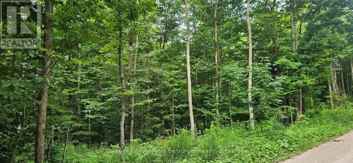 Property Photo: Lot 6 Concession 12 Ndr Bentinck ON N0G 1S0