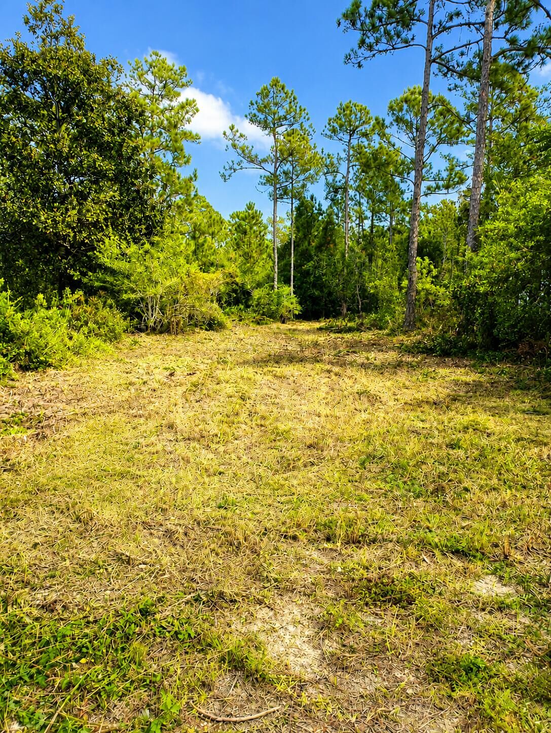 Property Photo: Lot 16 Central 8th Street FL 32459