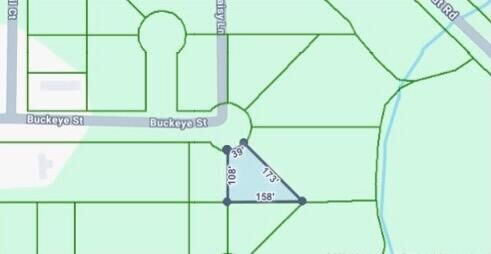 Property Photo: Lot 2 E Buckeye East FL 32433