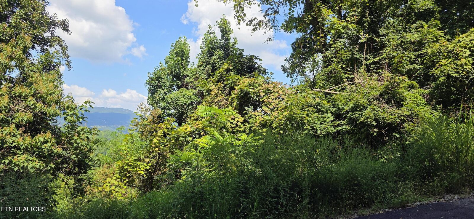 Property Photo:  Lot 28 Sugar Maple Loop Rd  TN 37862 