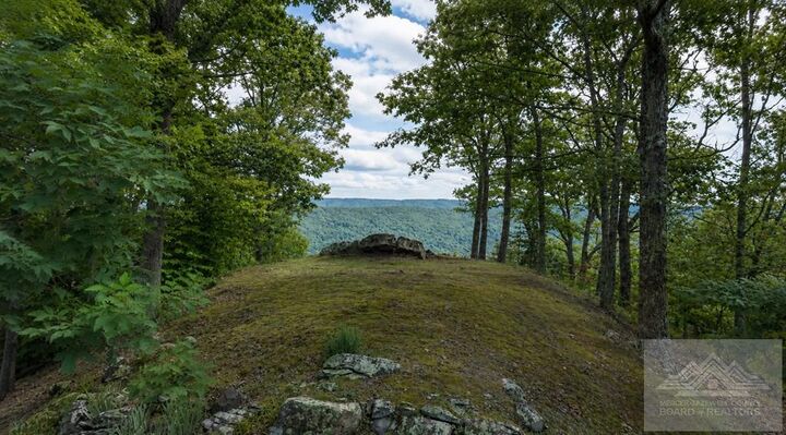 Property Photo: 2367 East River Mountain Road VA 24366
