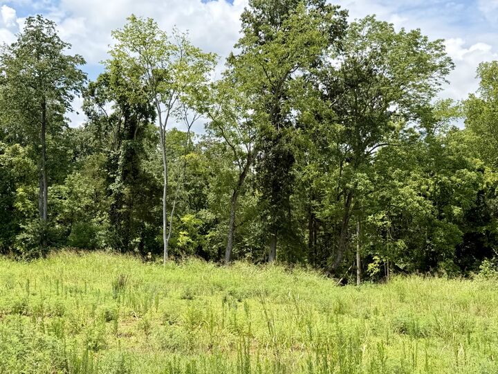 Property Photo:  2054 Daniel Johnson Way  TN 37043 