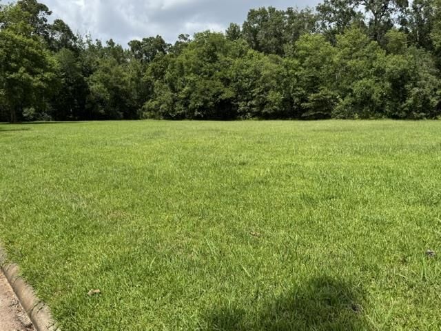 Property Photo:  0 Karlette Ln.  TX 77708 