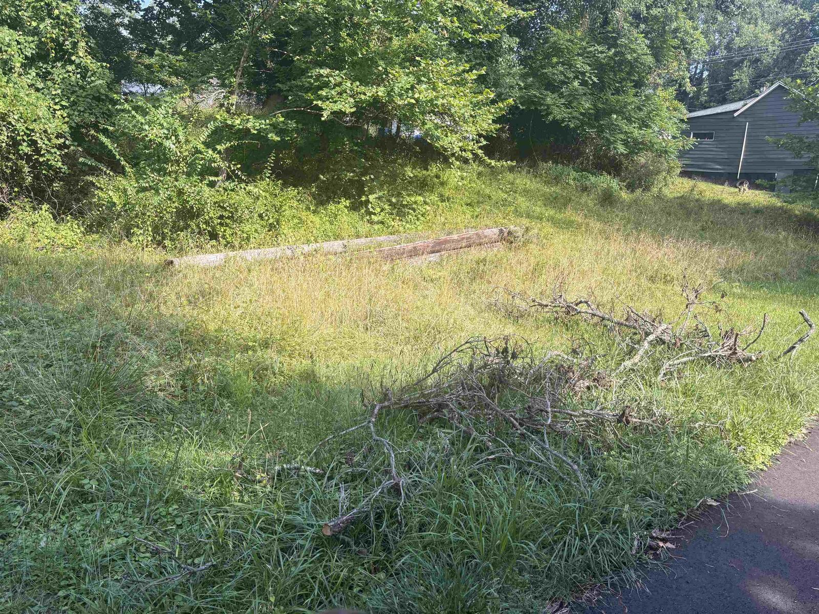 Property Photo: 0 Wallace Street KY 41101