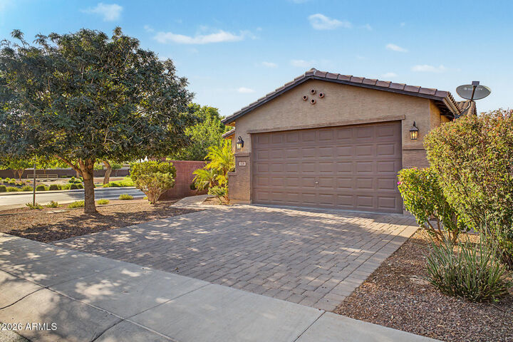 Property Photo:  528 W Evergreen Pear Avenue  AZ 85140 