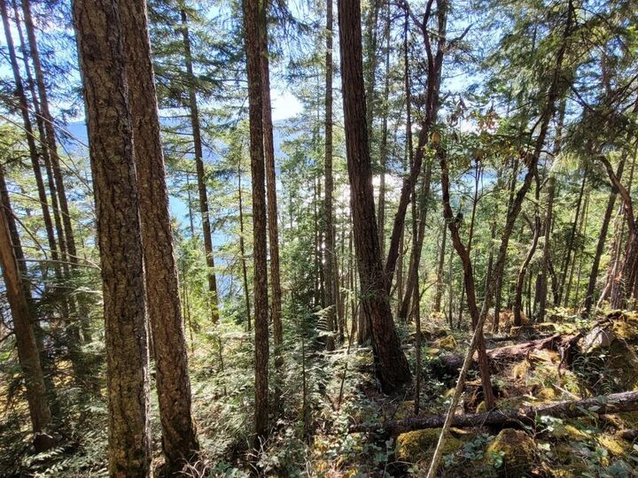 Property Photo:  Lot 108 Seaview Road  BC V0N 3A4 