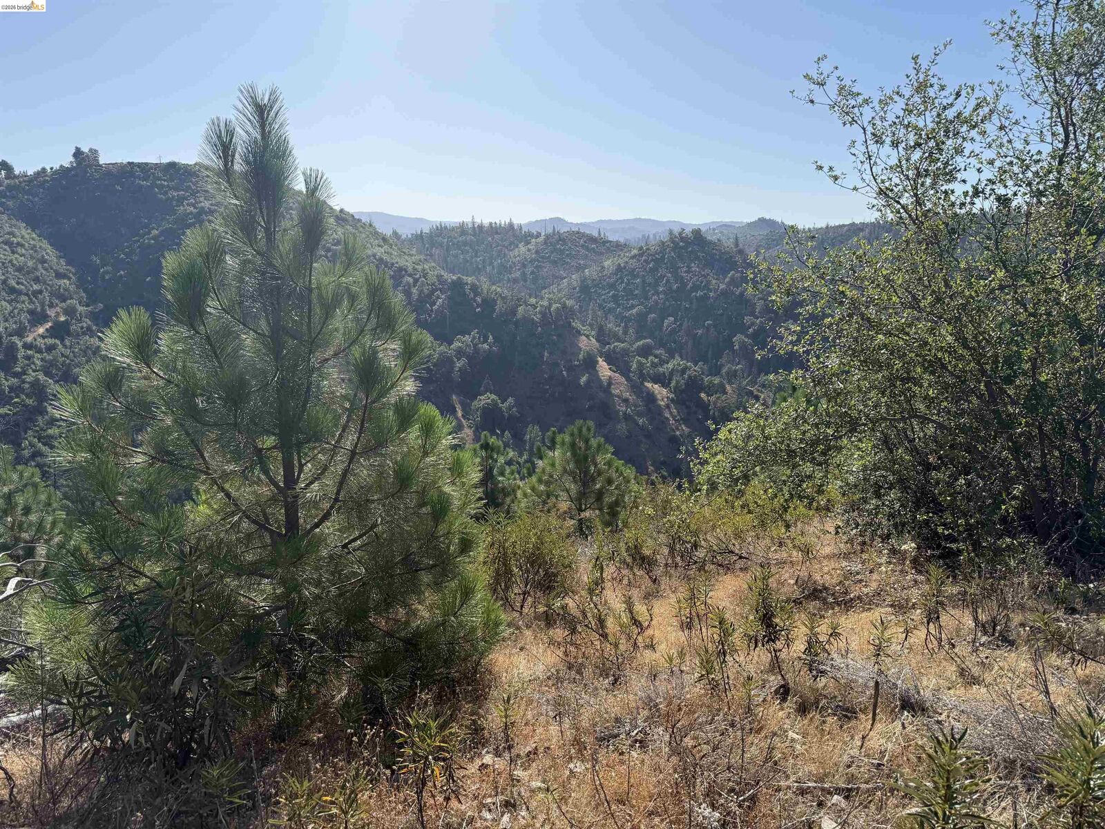 Property Photo: 00000 Old Greek Mine CA 95245