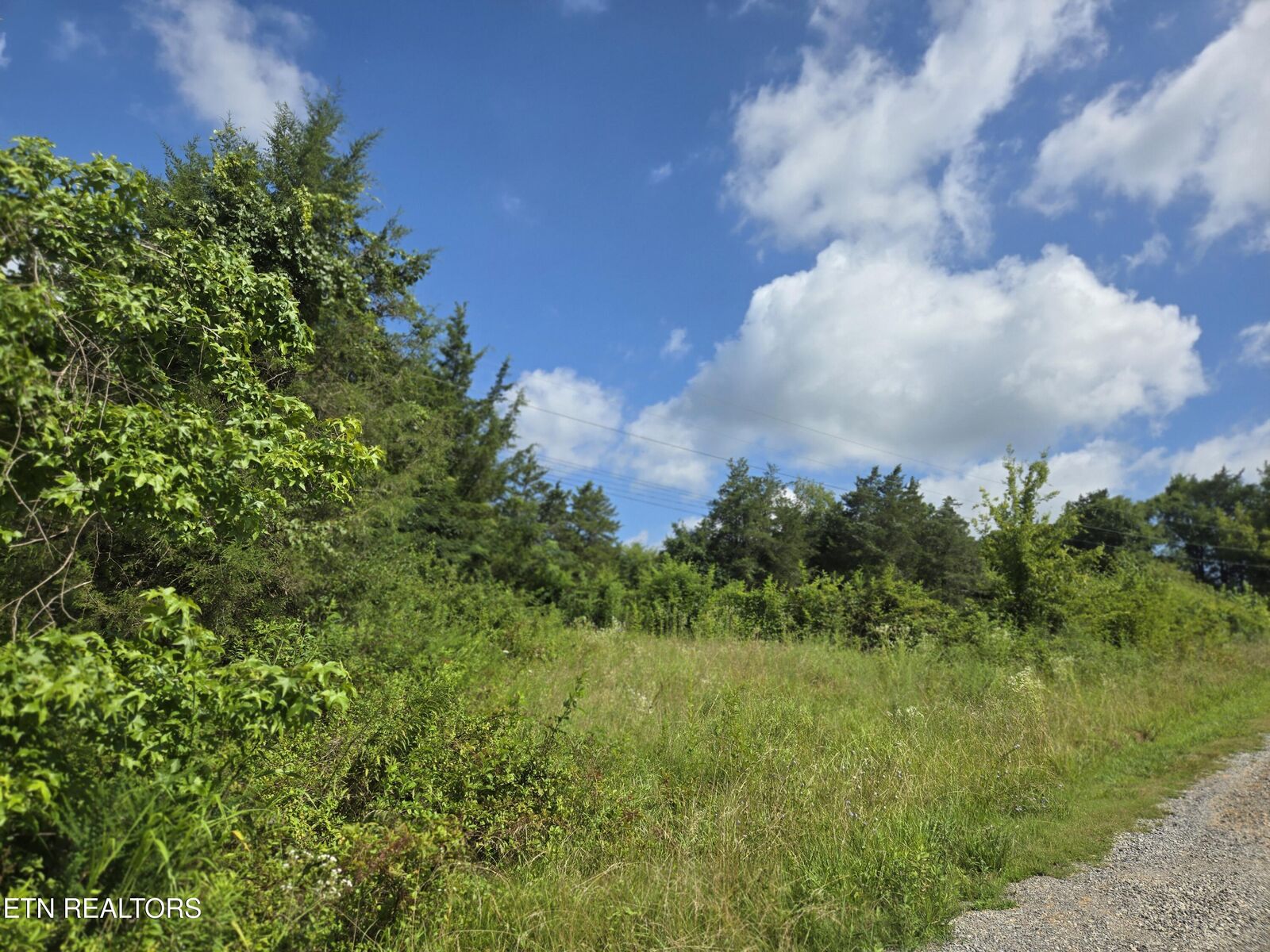 Property Photo:  1882 Highway 25-70  TN 37820 