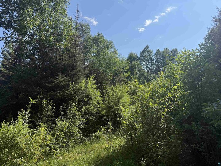Property Photo: Xxb Rocky Top Trail MN 55606