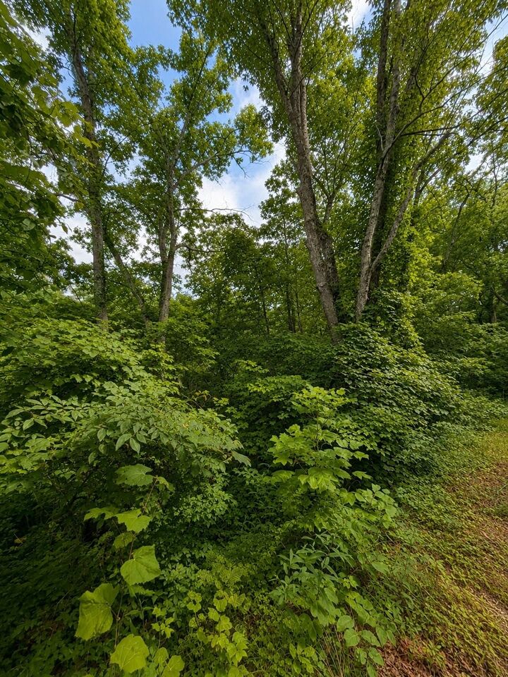 Property Photo: 0 Skyline Dr TN 37166