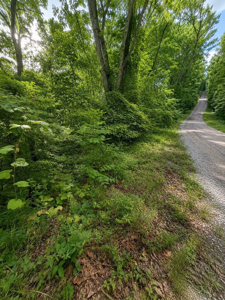 Property Photo:  0 Skyline Dr  TN 37166 