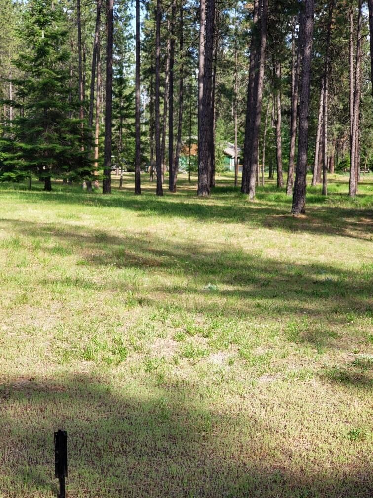 Property Photo:  251 Eagle Dr  WA 99109 