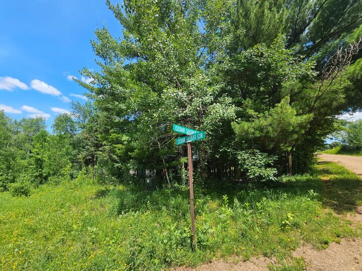 Property Photo: Tbd Cedar Shores Drive MN 56444
