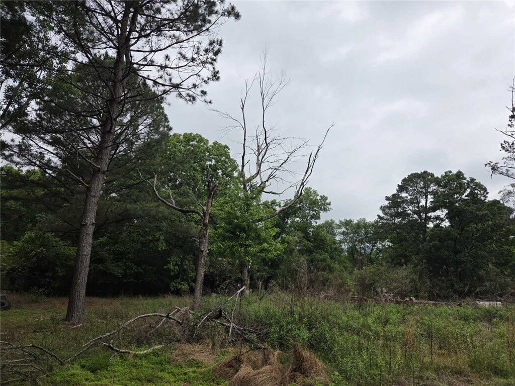 Property Photo:  3938 County Road 3631  AR 72846 
