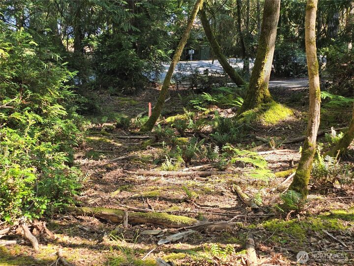 Property Photo:  655 E Pointes Drive E  WA 98584 