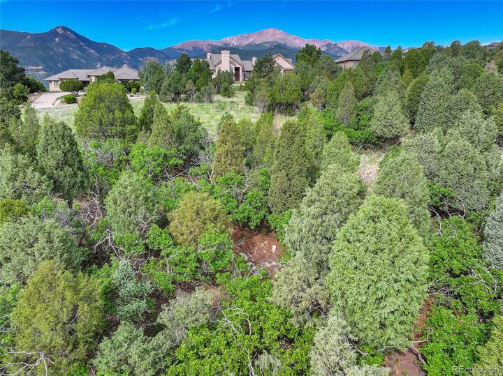 Property Photo:  3585 Twisted Oak Circle  CO 80904 