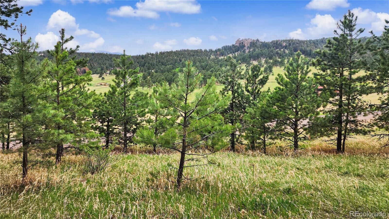 Property Photo:  6078 Lone Peak Drive  CO 80439 
