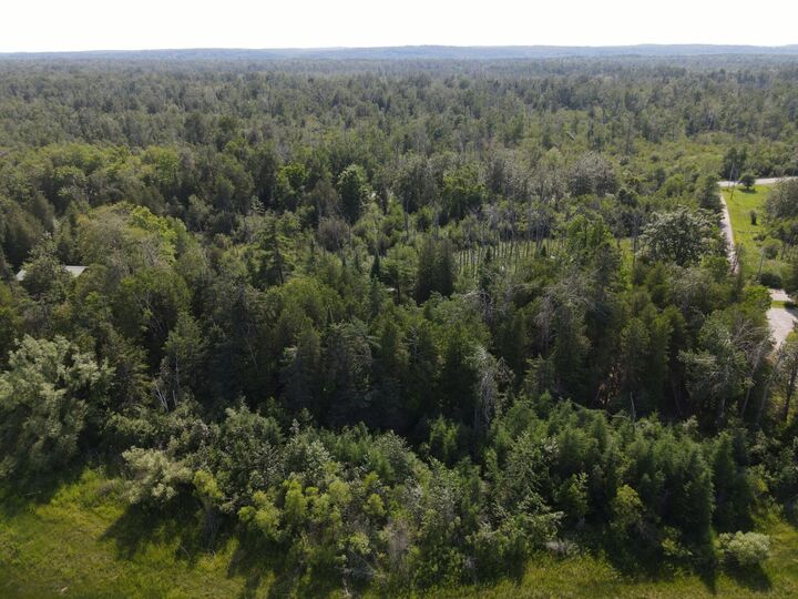 Property Photo: V/L North Lake Shore Drive MI 48721
