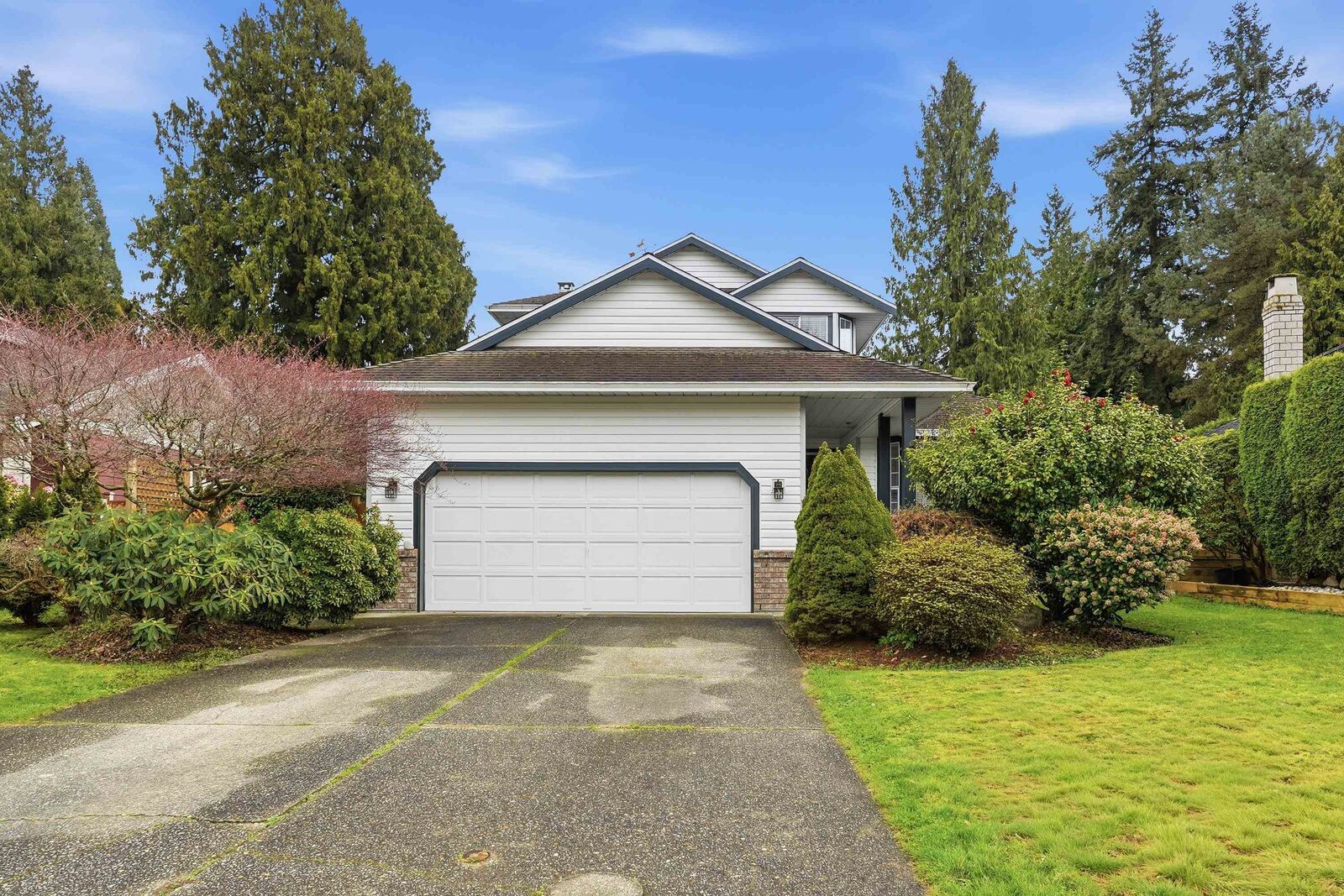 Property Photo: 12316 Southpark Crescent BC V3X 2C1