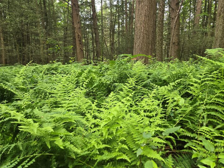 Property Photo:  143 Swift Road 4  NY 13905 