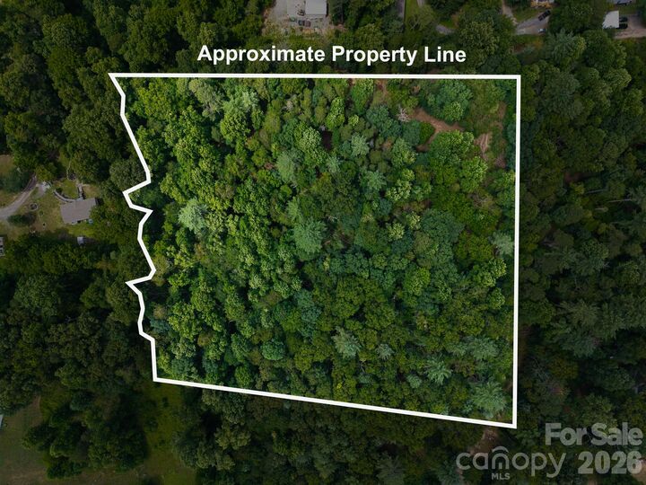 Property Photo: 31 Burtiller Lane NC 28732