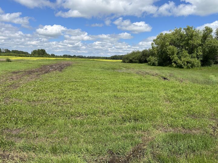 Property Photo:  Avenue  AB T0A 3J0 
