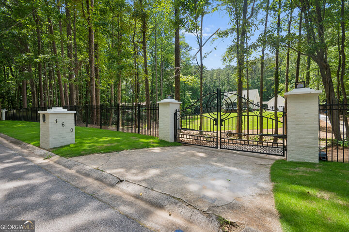Property Photo: 160 Wills Way GA 30214
