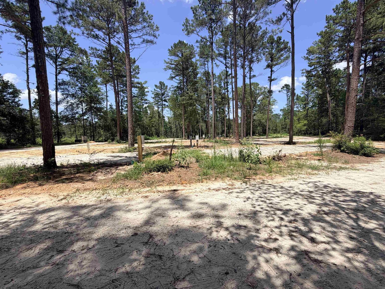 Property Photo: 5681 An County Road #153 TX 75801