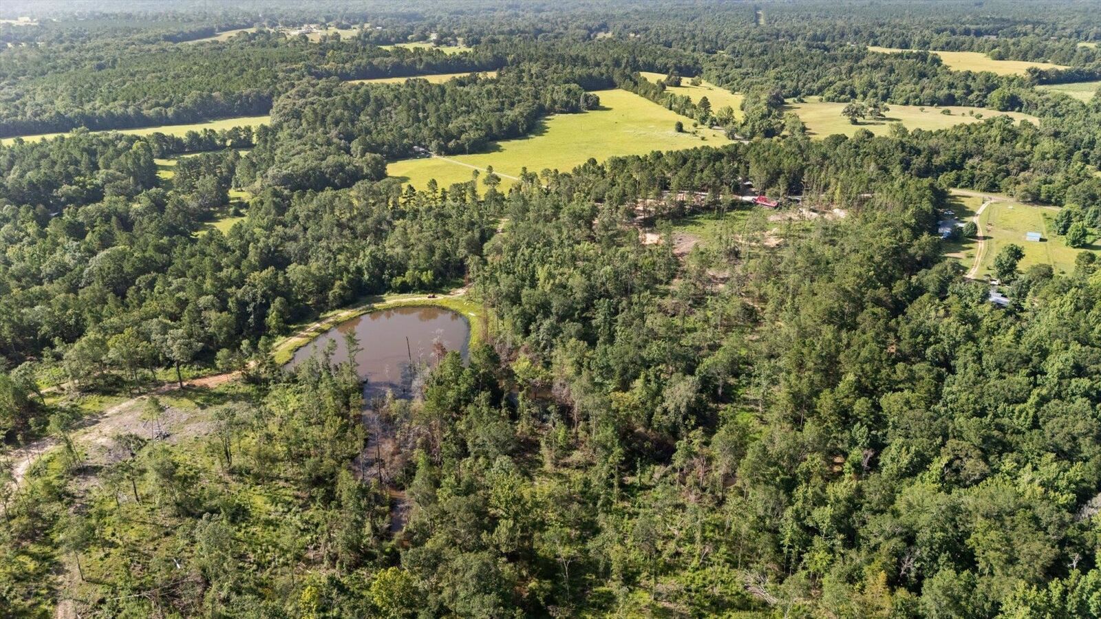 Property Photo: 5681 An County Road #153 TX 75801