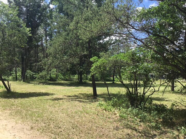 Property Photo: 2597 E Gladys Street MI 49642
